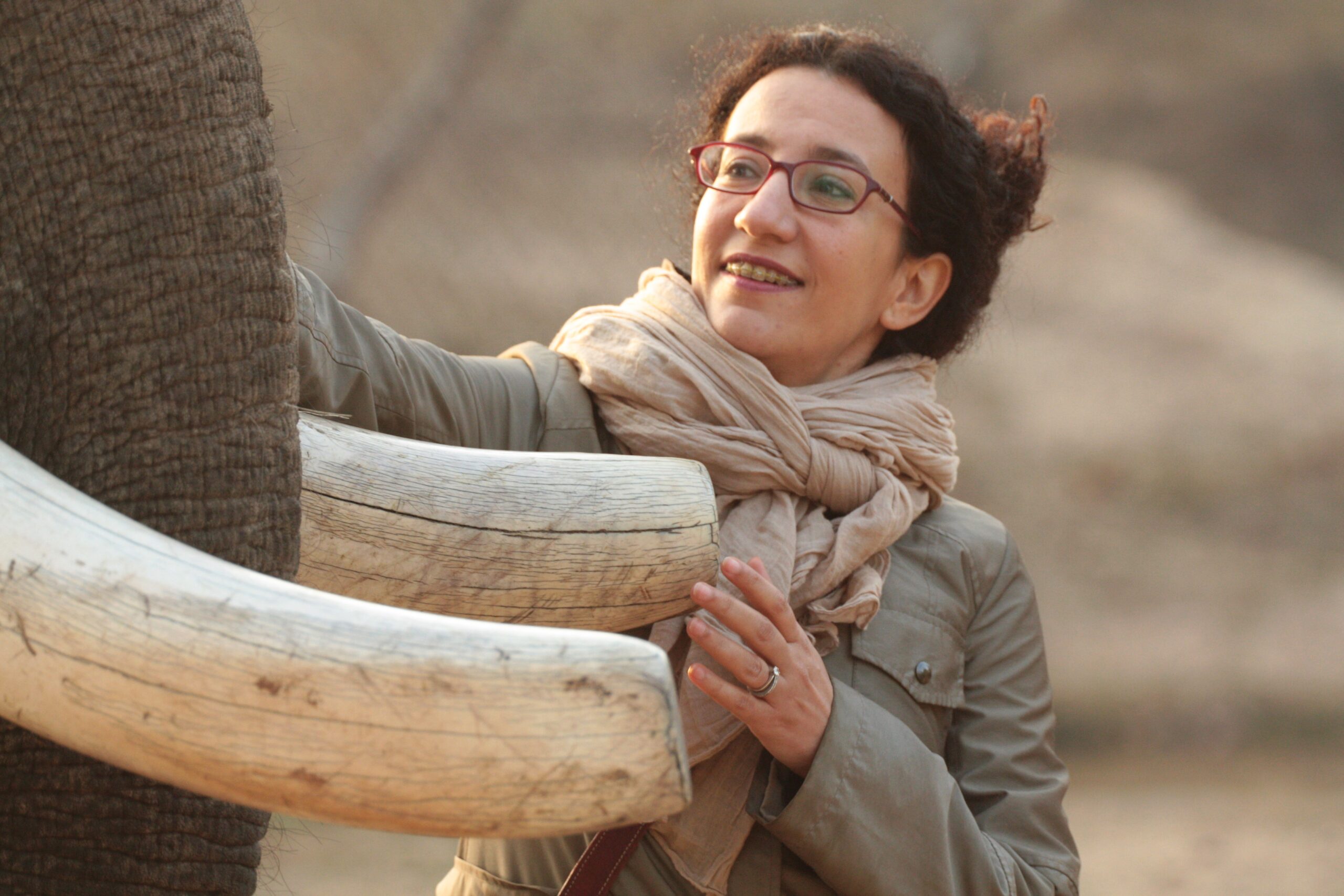 Elephant Camp