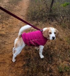 Ten Things to do in and around Koh Samui and Koh Phangan