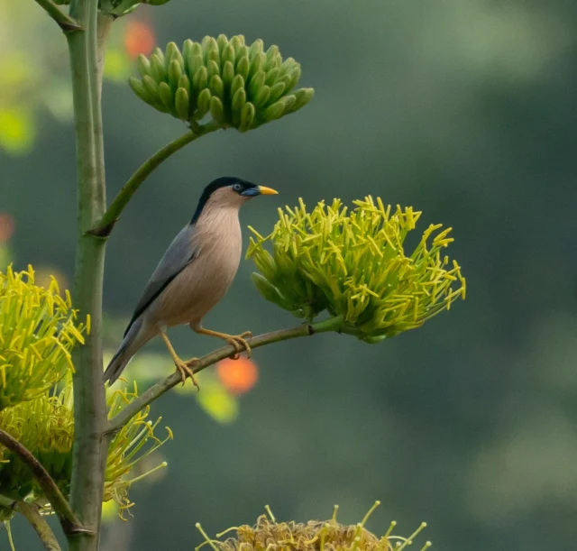 pttunl8hegsvv55i6yre